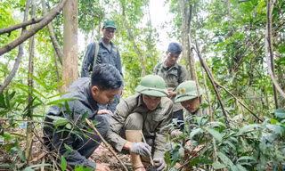 Bảo vệ động vật hoang dã trên dãy Trường Sơn: 'Biệt đội' giải cứu thú rừng