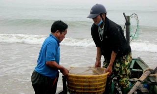 Ngư dân Hà Tĩnh được 'lộc trời' ngày rét tê tái