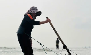 'Lộc biển' dạt trắng bờ biển, ngư dân cào ốc ngày kiếm tiền triệu