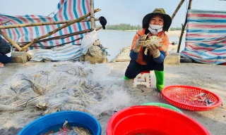 Vươn khơi đầu năm, ngư dân phấn khởi đón ‘lộc trời’