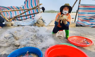 Vươn khơi đầu năm, ngư dân phấn khởi đón ‘lộc trời’