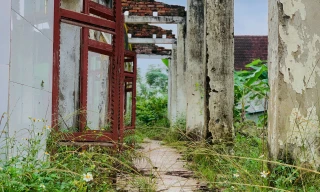 Hà Tĩnh: Cơ sở y tế bị bỏ hoang gần 10 năm, cỏ mọc um tùm