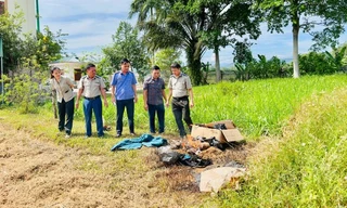 Tiêu huỷ 5 cá thể hổ đã chết