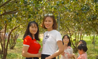 Mê mẩn vườn táo trĩu quả, giới trẻ đổ xô đến check-in