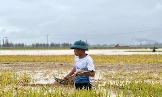 Lũ đến bất ngờ vào mùa hè: 'Chúng tôi mất trắng… rồi'