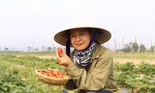 Nữ kỹ sư 9x 'biến' mảnh đất hoang thành nông trại xanh