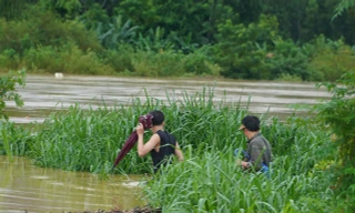 Người dân đổ xô ra ven bờ sông bắt dế mùa lũ