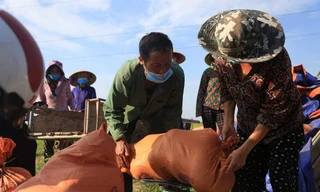 'Giải cứu' hàng chục tấn dưa cho người dân bị phong tỏa do dịch