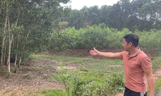 Xã cấp đất trái quy định, hàng chục hộ dân mỏi mòn chờ sổ đỏ