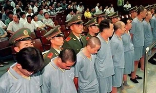 Gạ tặng tiền có phải là hối lộ?