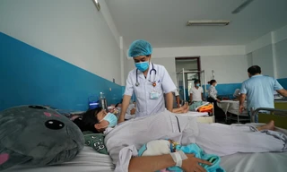 TPHCM: Dịch sốt xuất huyết và tay chân miệng diễn biến khó lường