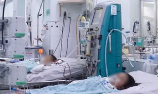 TPHCM: Sốt xuất huyết bùng phát, 10 ca tử vong