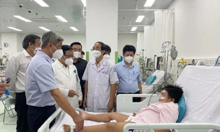 Bé trai 8 tuổi suy đa cơ quan, nguy kịch vì bị... muỗi đốt