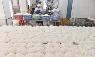 Thực hư bún tươi chứa formol