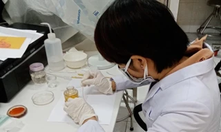 Bệnh sốt rét có nguy cơ lây lan tại TPHCM hay không?