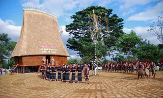 Tỉnh Gia Lai mời gọi “đại bàng” về làm tổ