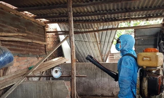 TPHCM kêu gọi người dân cung cấp địa chỉ gây dịch sốt xuất huyết