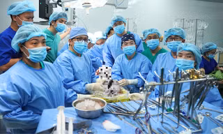 Người đàn ông bị đá đè chết não hiến tạng cứu 7 người khác