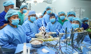 Người đàn ông bị đá đè chết não hiến tạng cứu 7 người khác