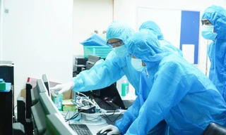 TPHCM: Phát hiện biến thể phụ gây gia tăng ca mắc và tử vong của COVID-19 