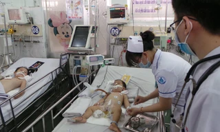 TPHCM: Kích hoạt 'báo động đỏ' ngăn chặn tử vong do sốt xuất huyết