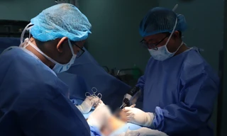 Người đàn ông bị heo cắn nát “của quý"