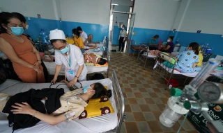 Thêm hàng trăm ổ dịch tại TPHCM, 24 người tử vong vì sốt xuất huyết