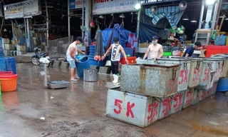 TPHCM: Bảo vệ chợ đầu mối Bình Điền trong vòng vây dịch COVID-19