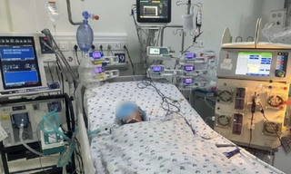 Bé gái nguy kịch vì bầy ong vò vẽ tấn công