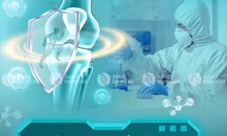 Cơ sở điều trị thoái hóa khớp 'treo đầu dê, bán thịt chó'