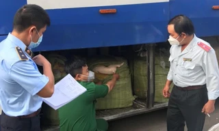 TPHCM: Cán bộ thú y tiếp tay đưa thịt heo bẩn ra thị trường