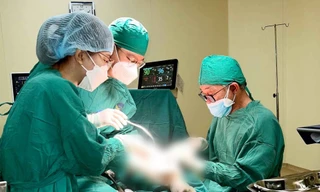 Người phụ nữ bị hoại tử vùng kín vì căn bệnh ít người biết