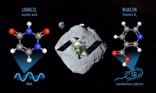 Mô hình phân tử được tìm thấy trong 2 mẫu vật mang về từ tiểu hành tinh Ryugu