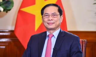 Bộ trưởng Ngoại giao Bùi Thanh Sơn. (Ảnh: Mofa)
