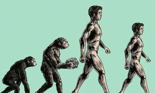 Dân số thế giới đã đạt ngưỡng 8 tỷ người