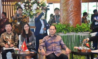 Bộ trưởng Ngoại giao Bùi Thanh Sơn dự AMM-56. (Ảnh: Mofa)