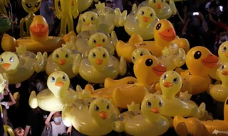 Vịt cao su vàng từng là biểu tượng của phong trào biểu tình Thái Lan. (Ảnh: AP)