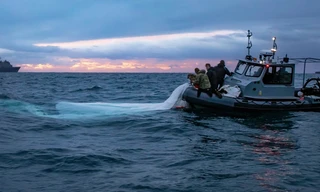 Hải quân Mỹ vớt xác khí cầu Trung Quốc