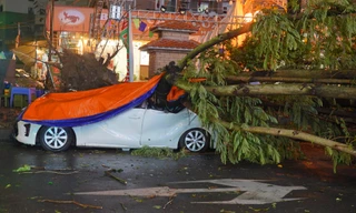 Mưa lớn, cây đổ đè bẹp hàng loạt ô tô đỗ bên đường Hà Nội