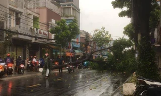 Cây đổ, đường phố Sài Gòn mênh mông nước sau trận mưa cực lớn