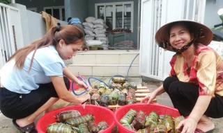 Người dân nhiều tỉnh thành ngày đêm 'gói yêu thương' gửi bà con miền Trung