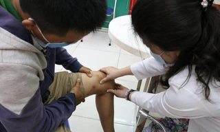 Nhiều người nhập viện vì bị kiến ba khoang đốt vào đầu mùa mưa.