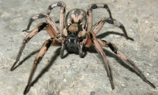 Ảnh minh hoạ: Internet