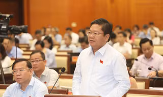 Đề xuất hơn 2.800 khu phố, ấp tăng thêm ở TPHCM vào diện chăm lo Tết