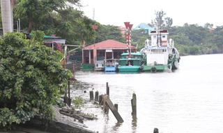 Lãnh đạo TPHCM chỉ đạo khẩn công tác phòng chống sạt lở mùa mưa lũ