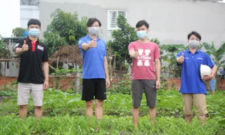 Vườn rau sẻ chia của 4 chàng trai xứ Nghệ giữa thành phố Thủ Đức 