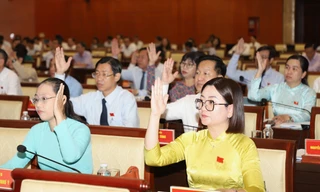 Chi tiết 20 xã, phường ở TPHCM được nuôi chim yến