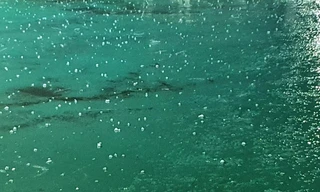 Hiện tượng mưa đá chiều 22/8 ở TPHCM là hiện tượng cực kỳ hiếm gặp, chưa từng được ghi nhận trước đó trong tháng 8.