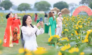 Người dân, du khách nô nức check-in vườn hoa hướng dương lớn nhất TPHCM 