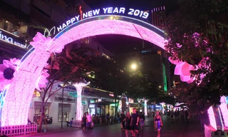 Đường phố TPHCM 'khoác áo mới' rực rỡ đón Tết Kỷ Hợi